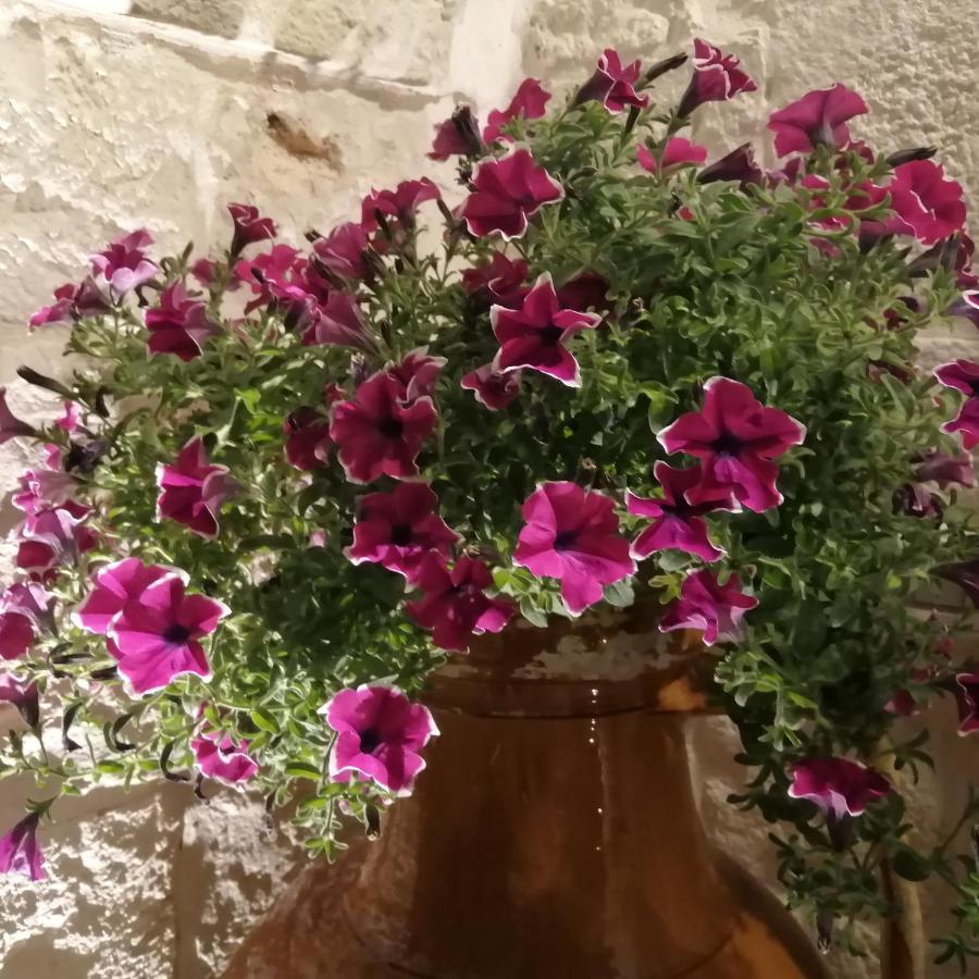 Annas Trulli Paradise-Alberobello Мартина Франка Екстериор снимка